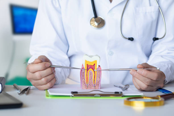 Best Emergency Care for Gum Disease in Englewood, TN